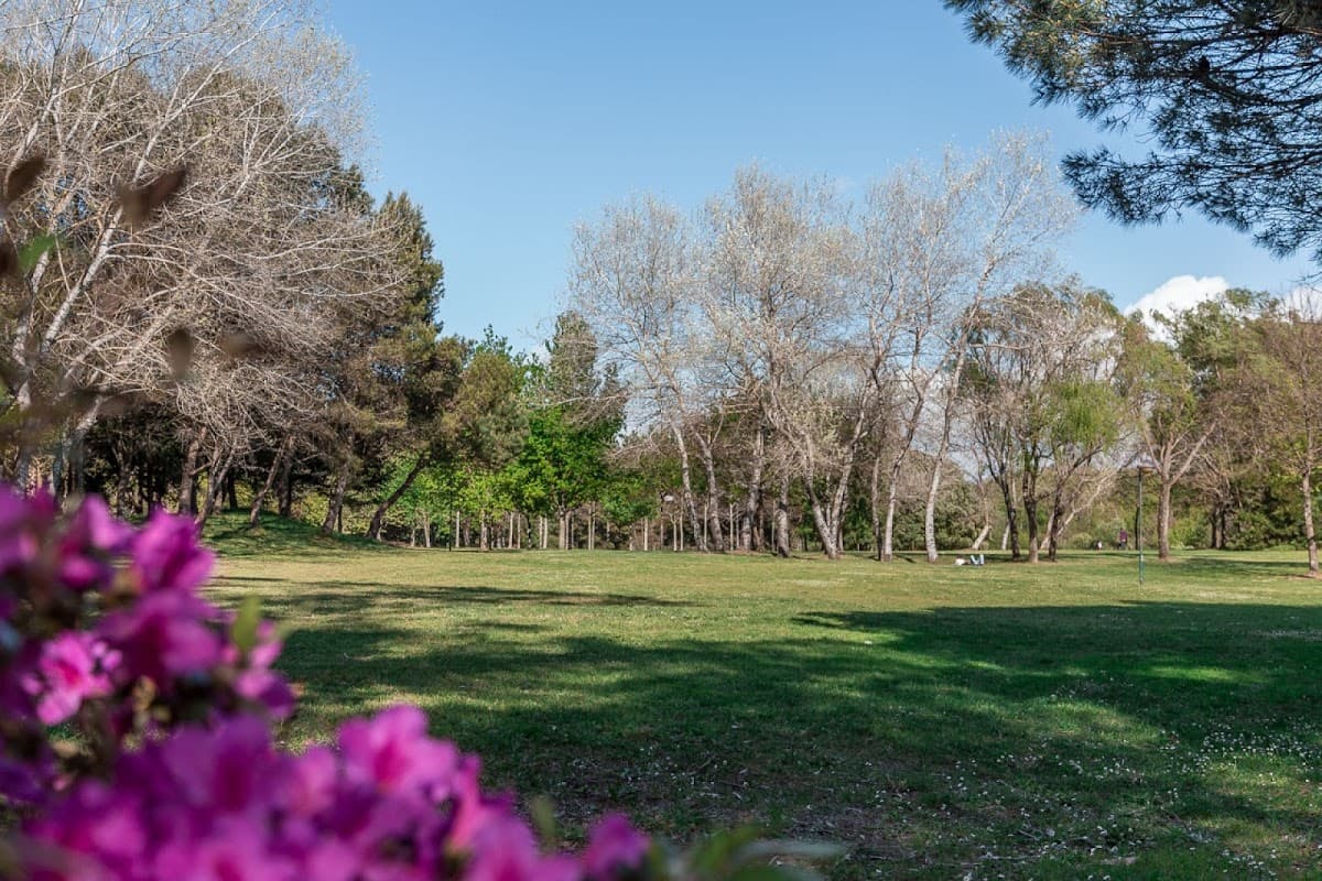 Parque da Cidade do Porto thumbnail 2