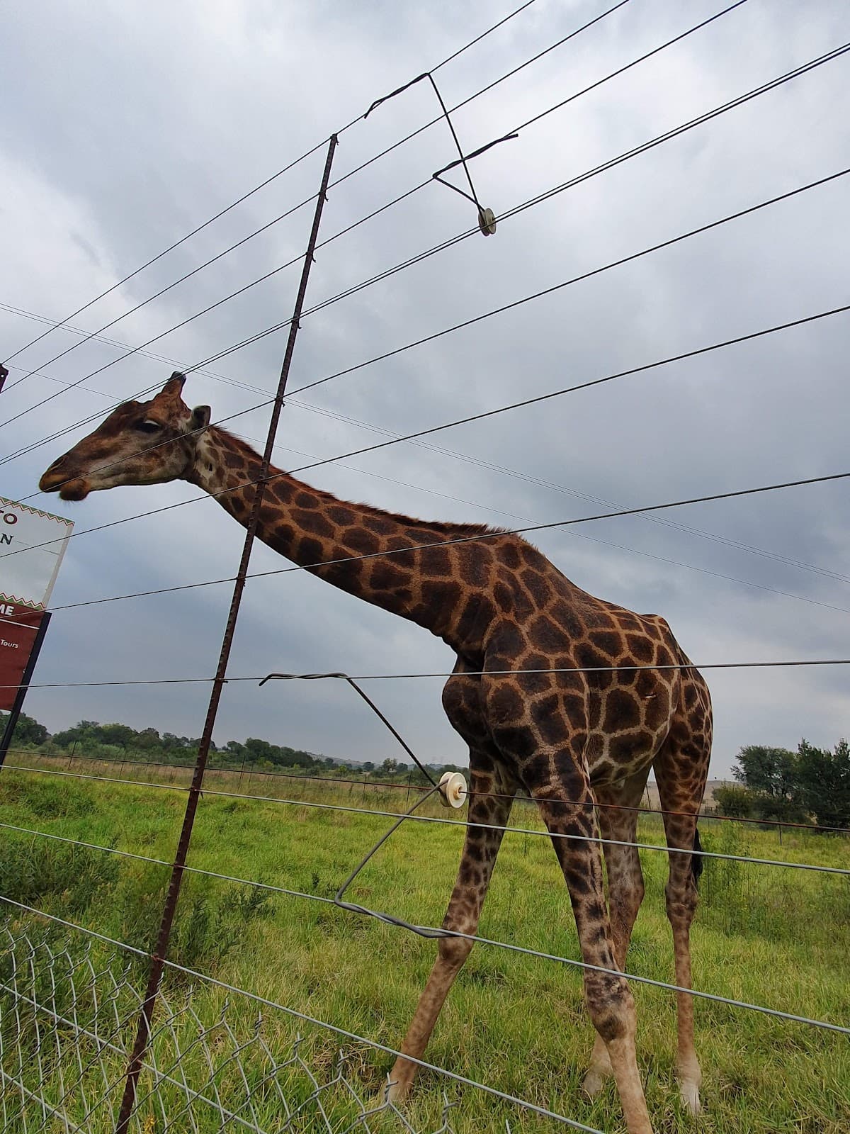 Maropeng: Official Visitor Centre for the Cradle of Humankind World Heritage site thumbnail 2