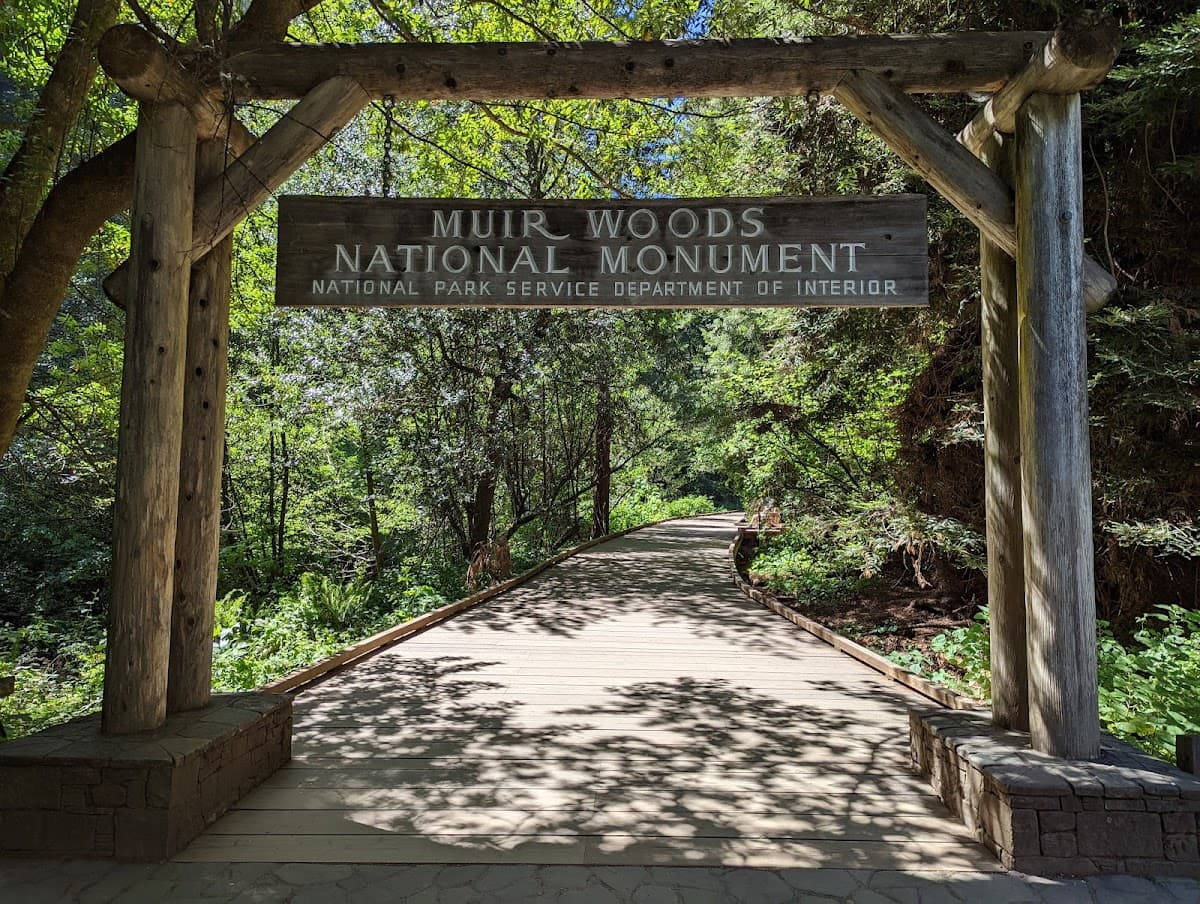 Muir Woods National Monument thumbnail 2