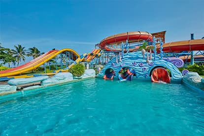 VGP Universal Kingdom 1
