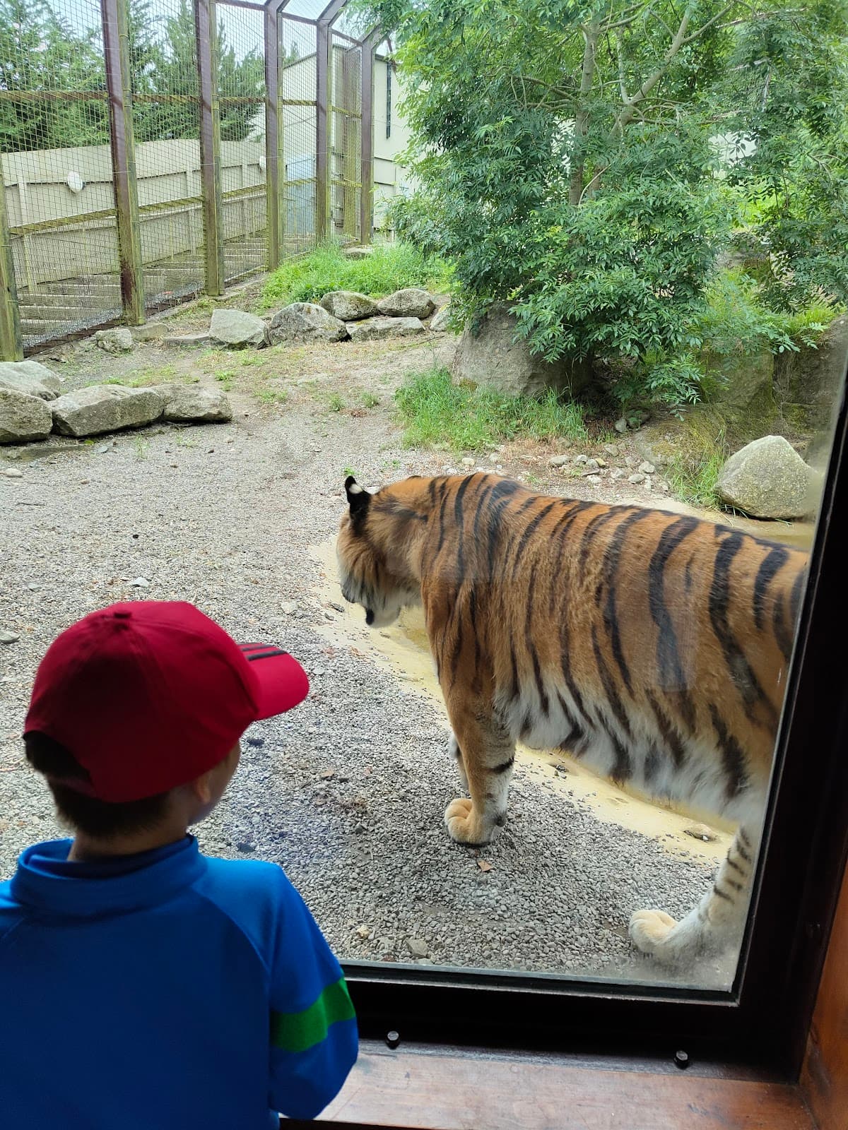 Dublin Zoo