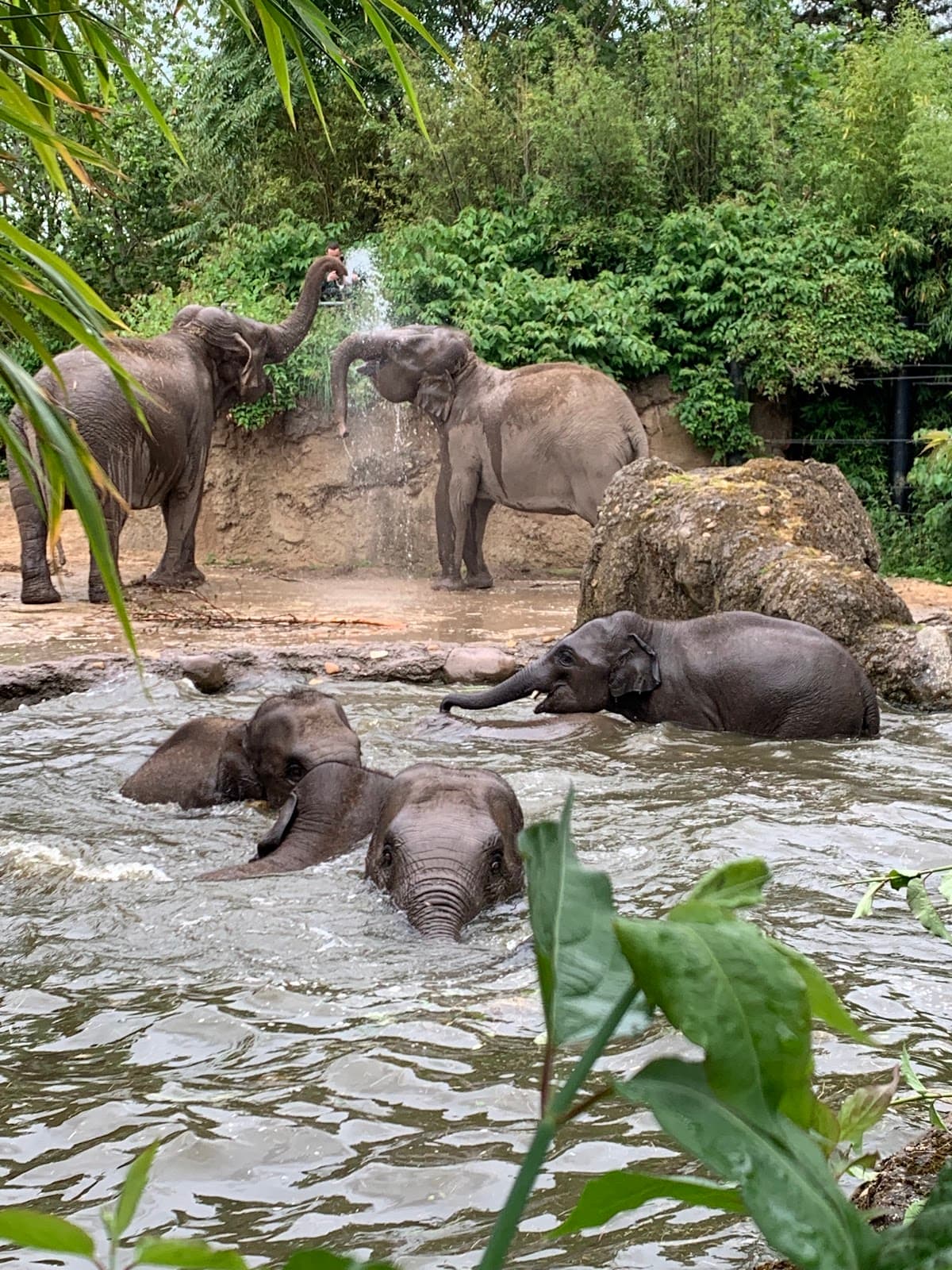 Dublin Zoo thumbnail 3