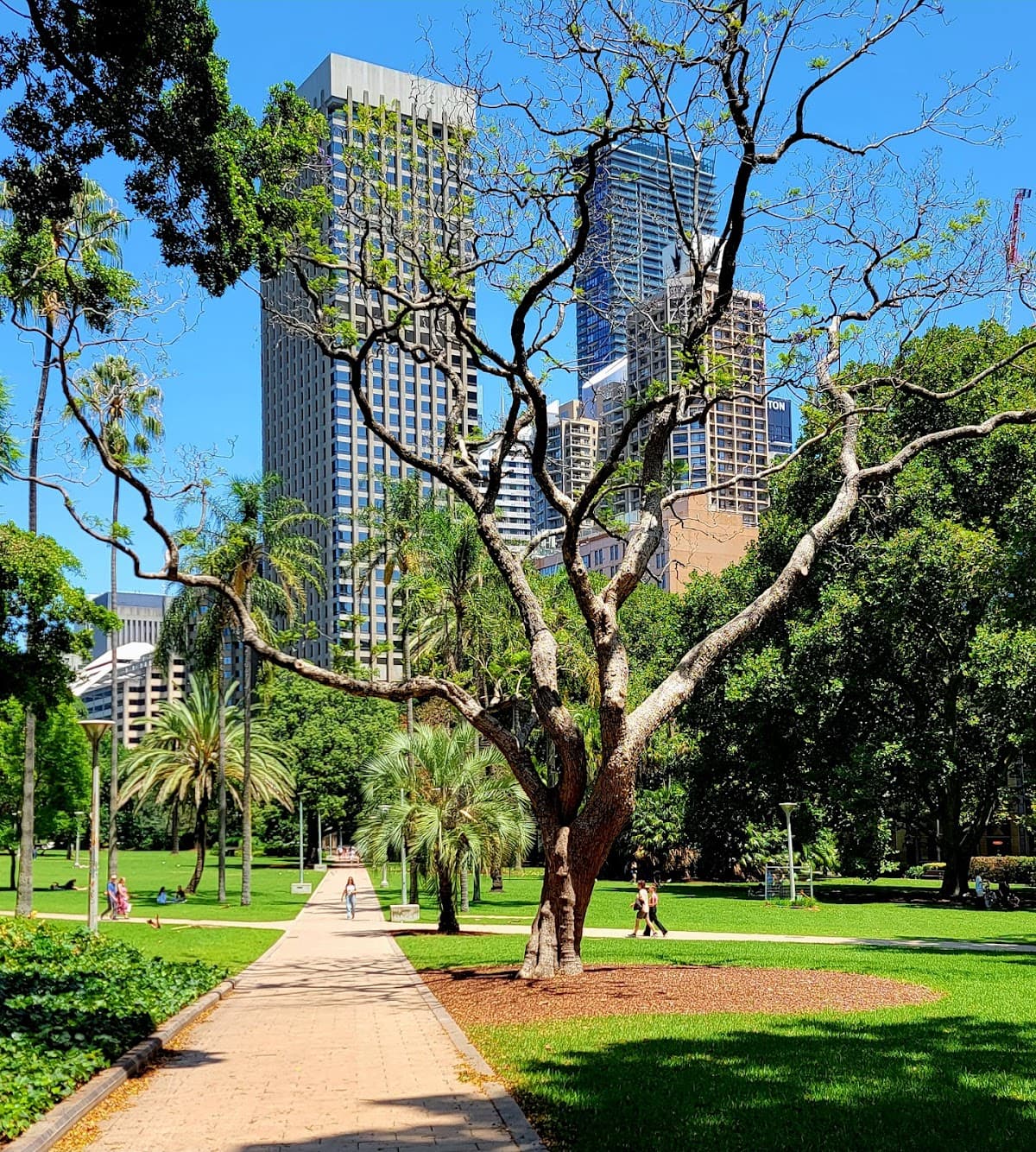 Hyde Park thumbnail 2