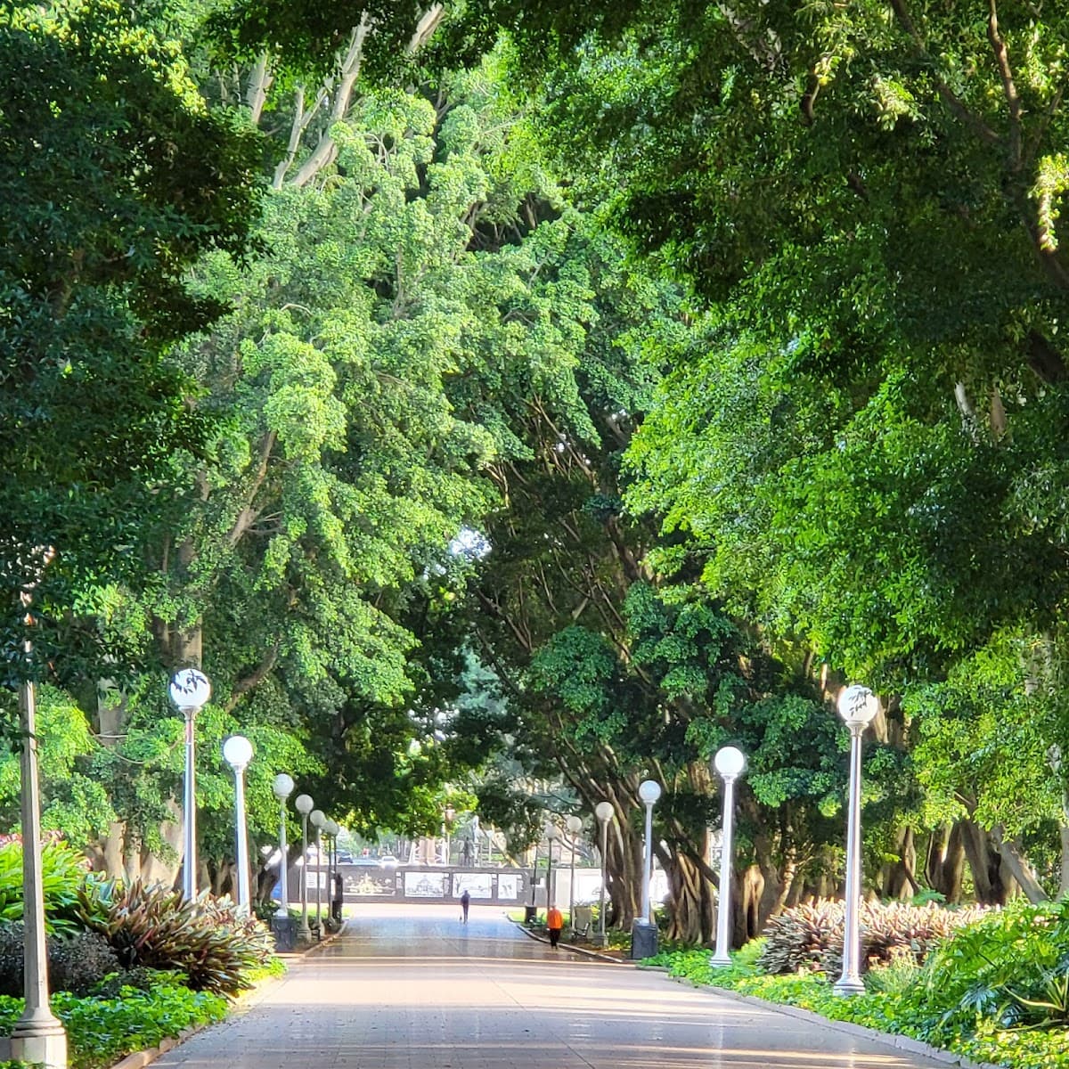 Hyde Park thumbnail 3