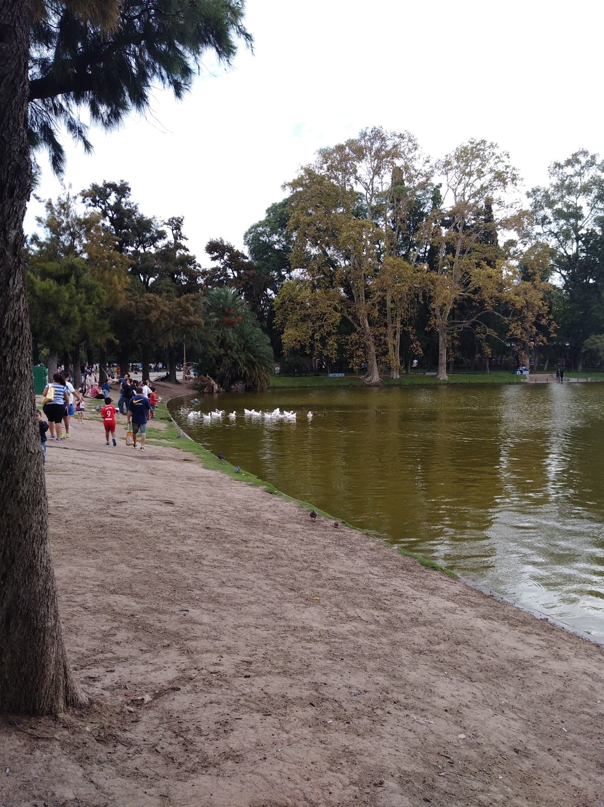 El Rosedal Garden thumbnail 3