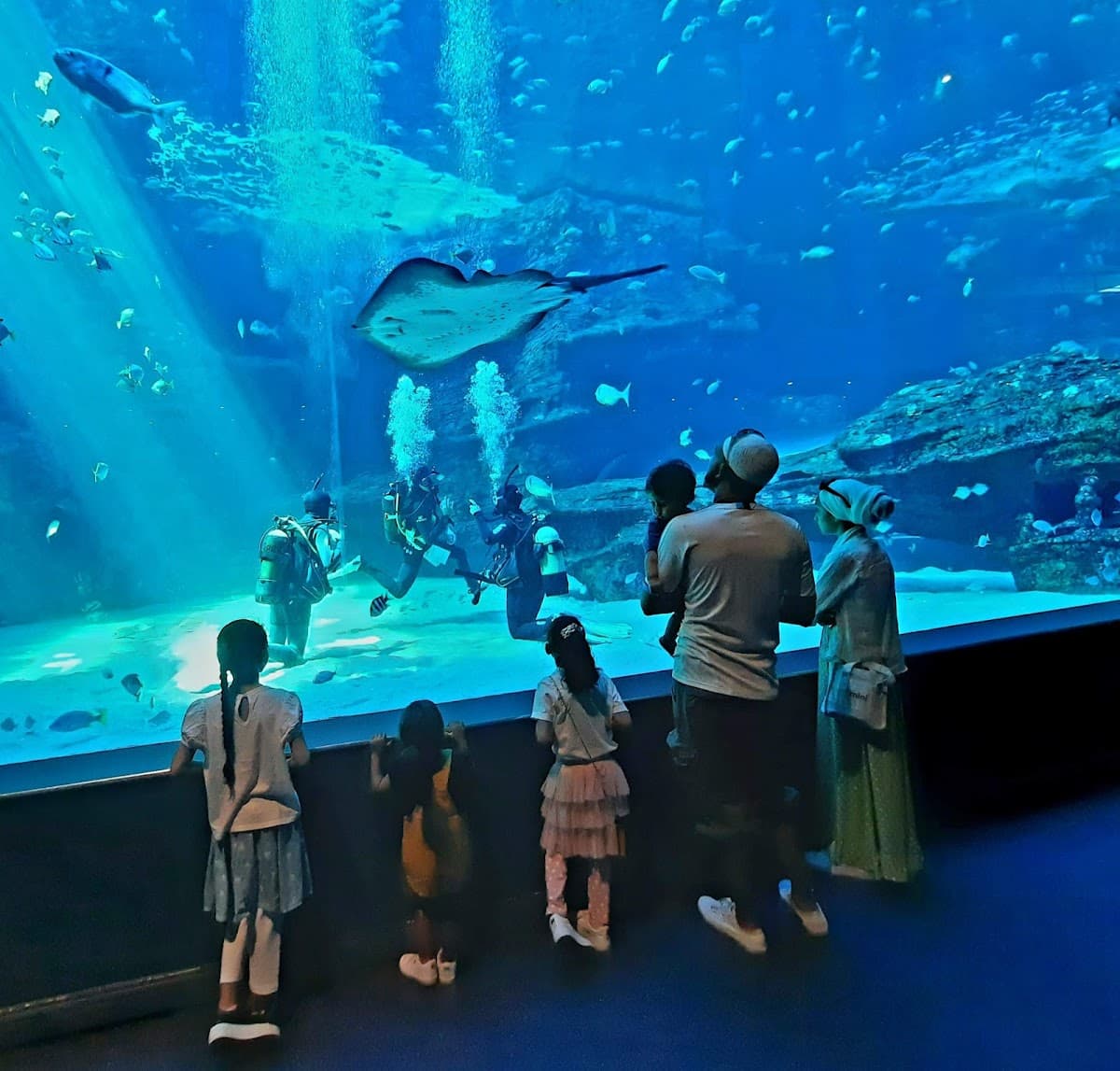 Two Oceans Aquarium photo 1