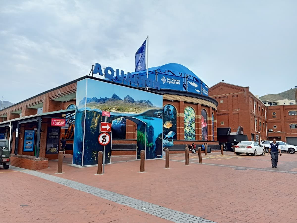 Two Oceans Aquarium thumbnail 3