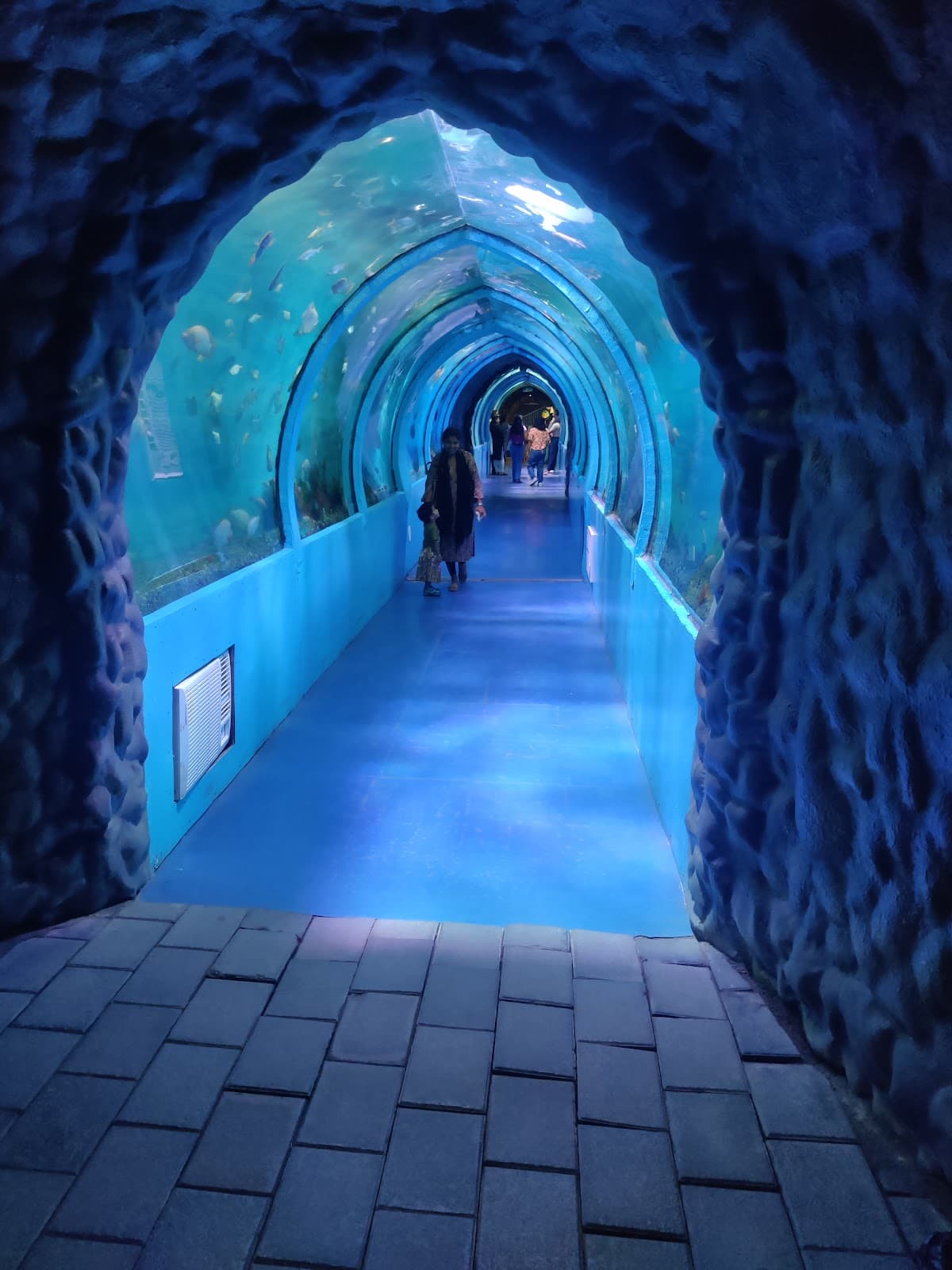 Lokaranjan Aqua World Underwater Zoo thumbnail 3