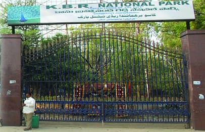 Kasu Brahmanandha Reddy National Park thumbnail 2