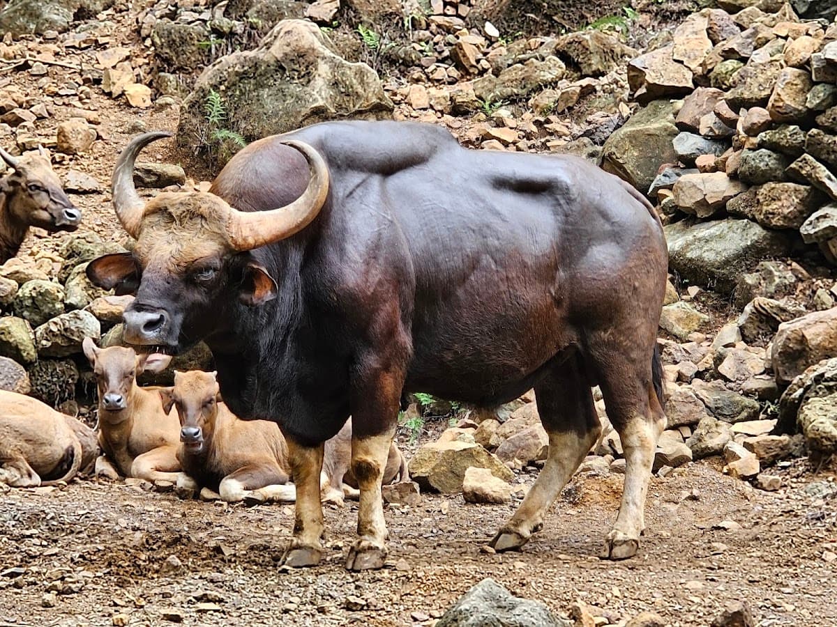 Bondla Wildlife Sanctuary 1