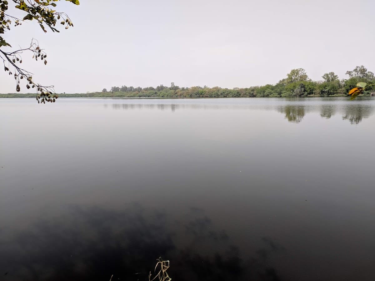 Keetham Bear Park