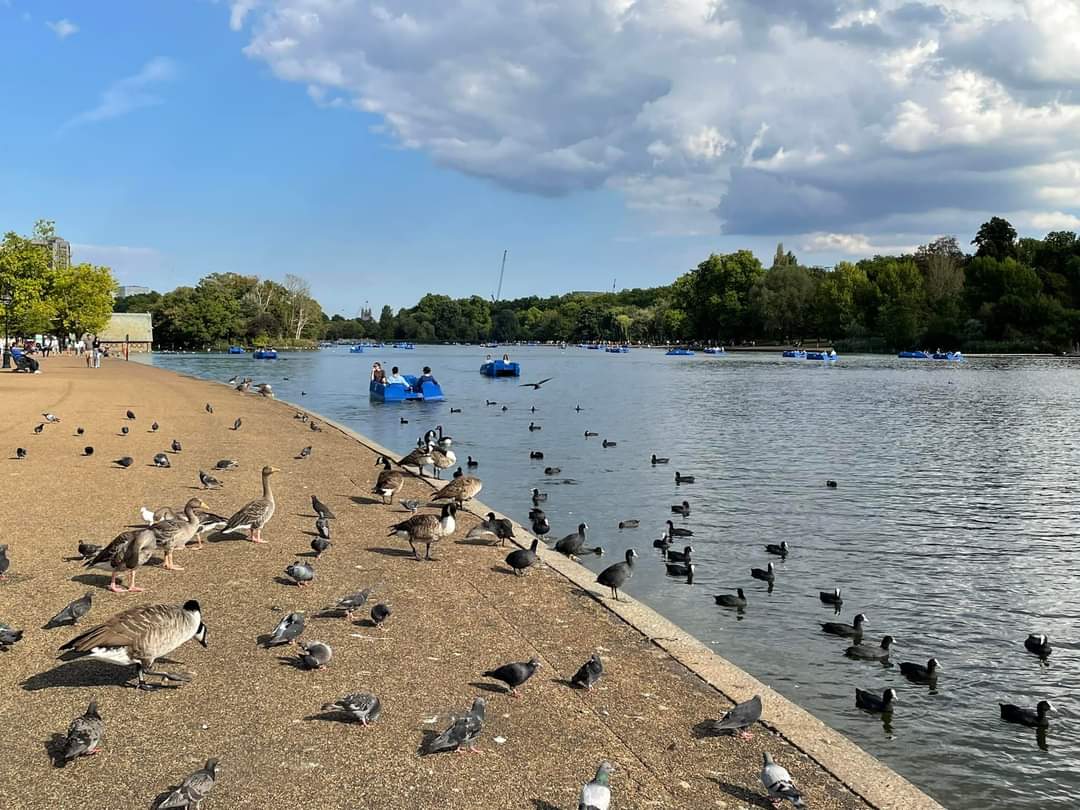 Hyde Park thumbnail 3