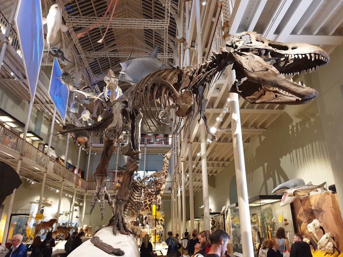 National Museum of Scotland thumbnail 2