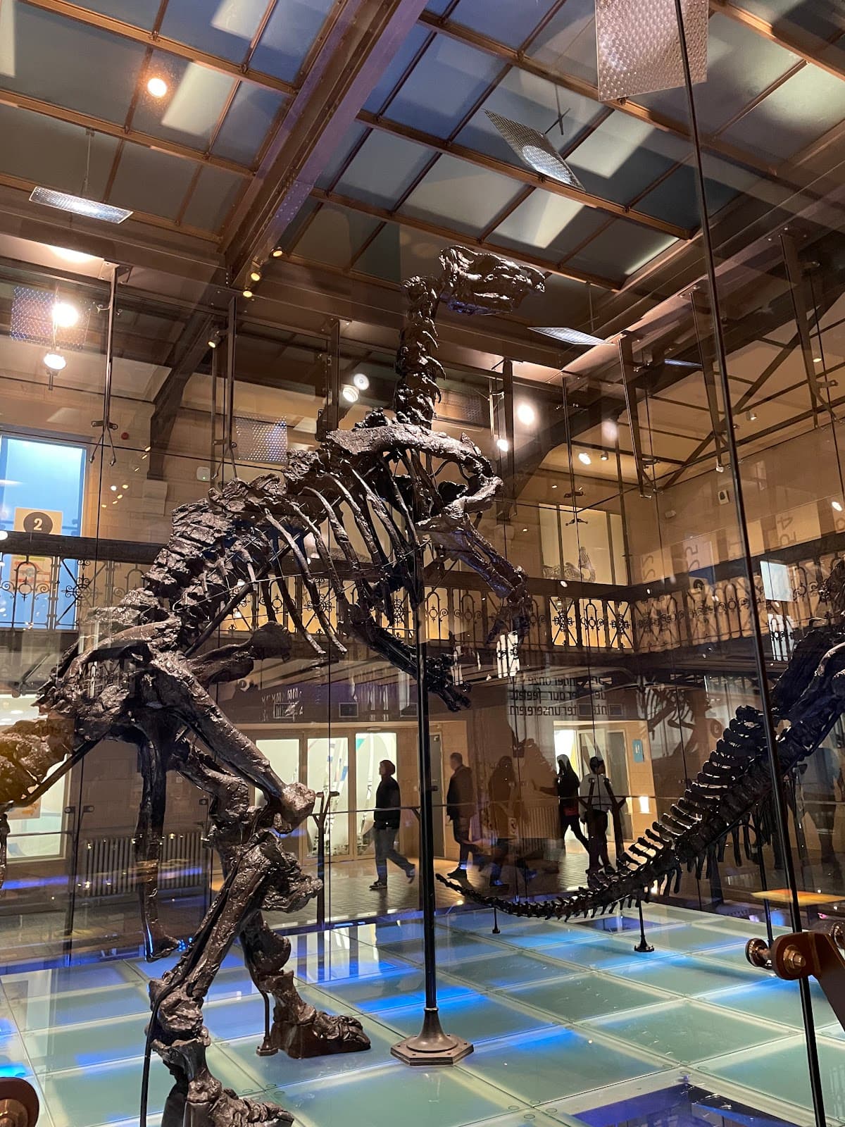 Royal Belgian institute of Natural Sciences photo 1