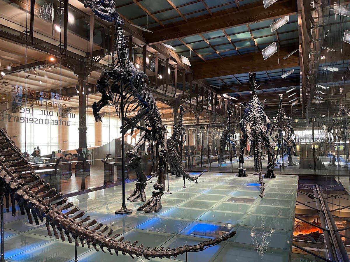 Royal Belgian institute of Natural Sciences thumbnail 2