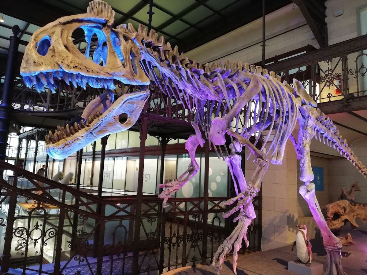 Royal Belgian institute of Natural Sciences thumbnail 3
