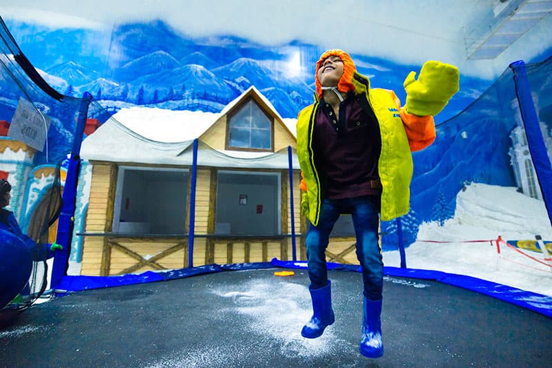 Snow Kingdom