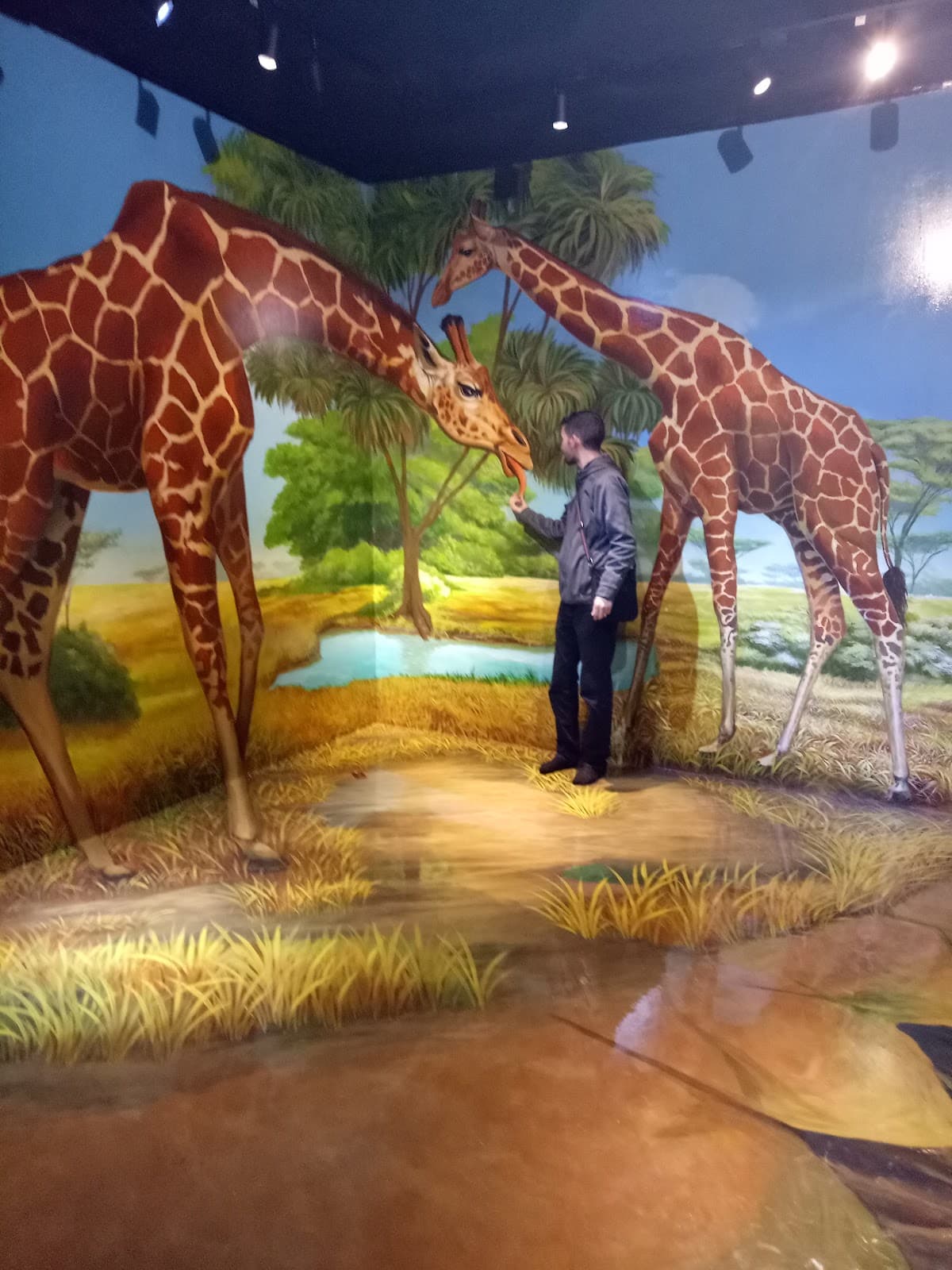 Magic Eye 3D Museum thumbnail 2