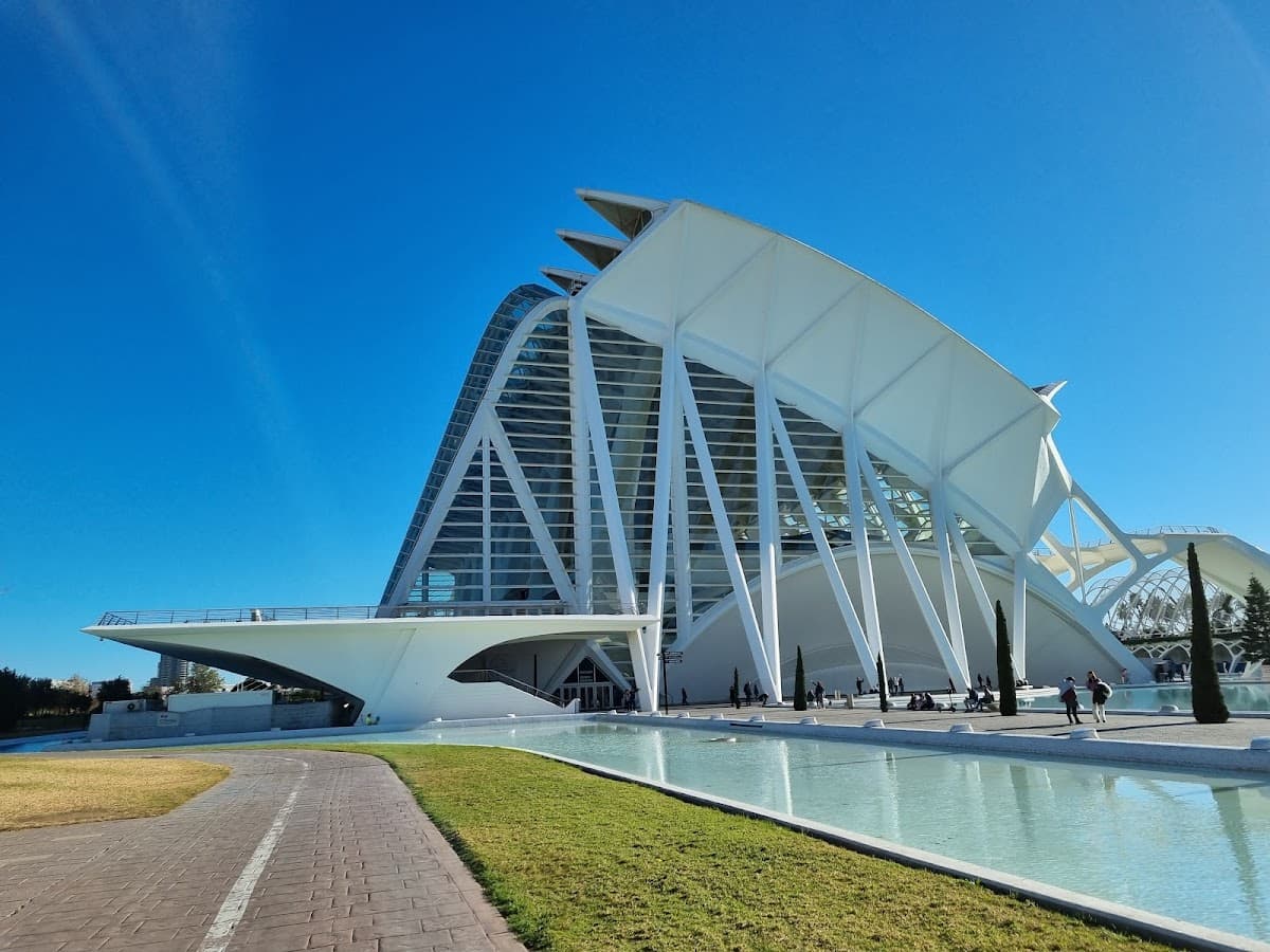 Museo de las Ciencias Príncipe Felipe thumbnail 2
