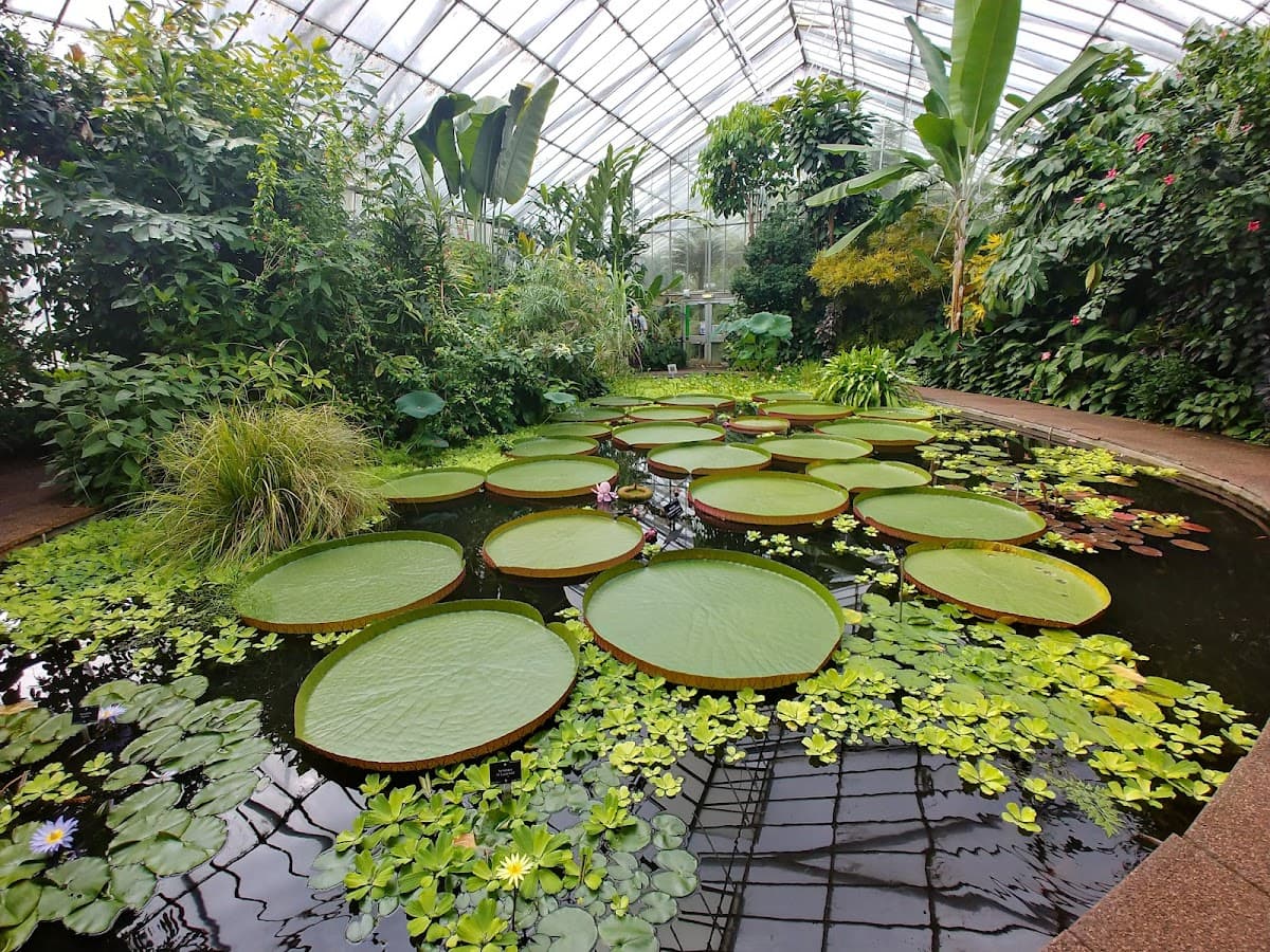 Royal Botanic Garden Edinburgh thumbnail 2