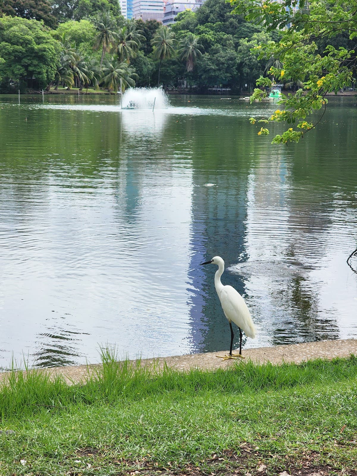 Lumphini Park thumbnail 3