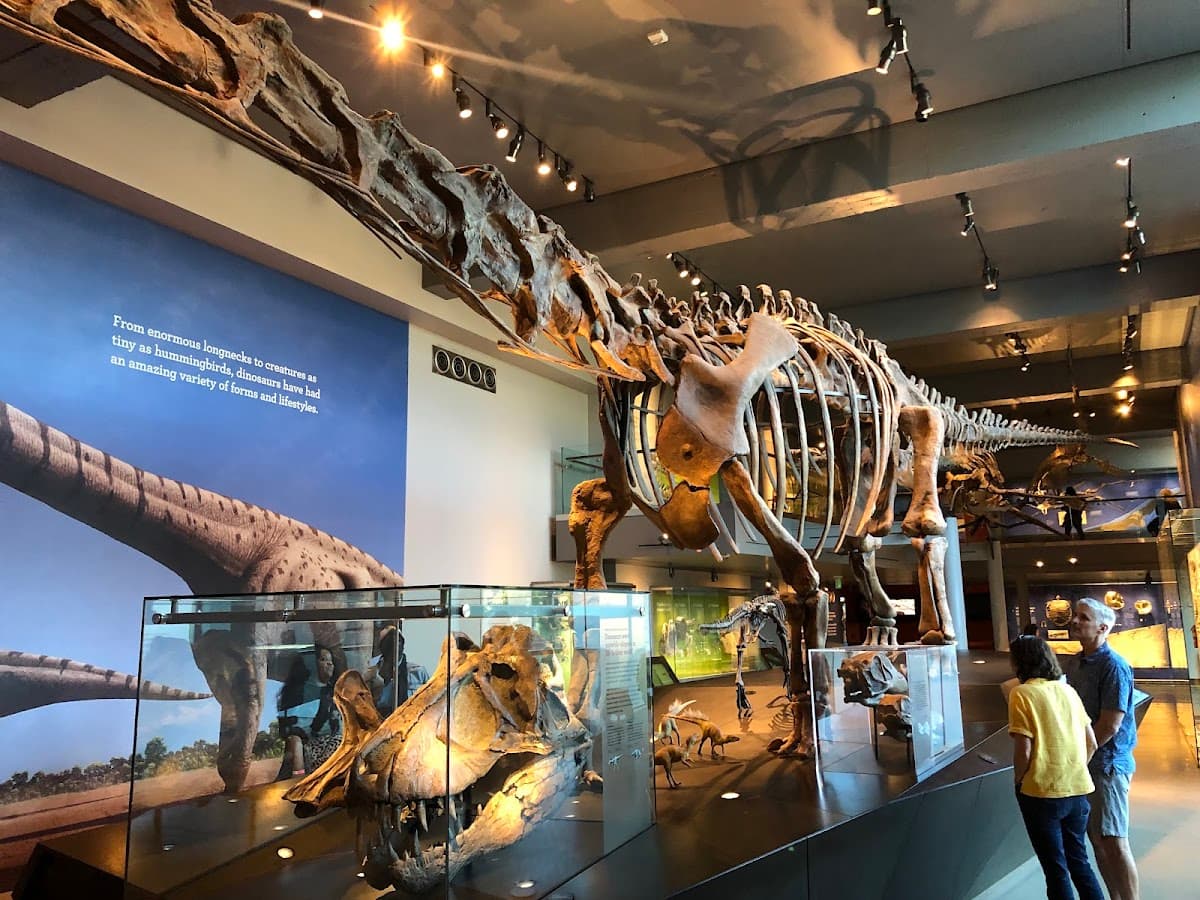 Natural History Museum of Los Angeles County thumbnail 3