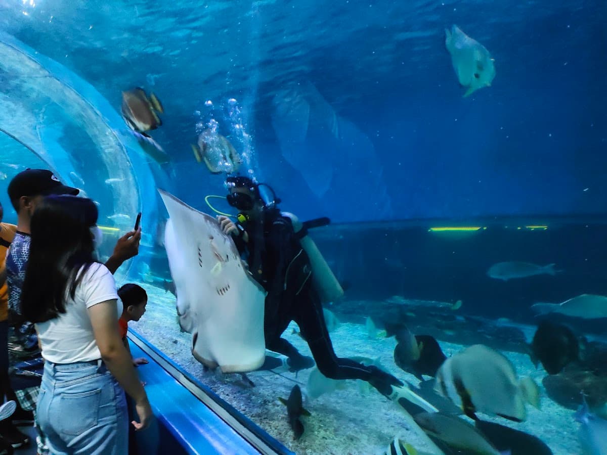 Manila Ocean Park thumbnail 2