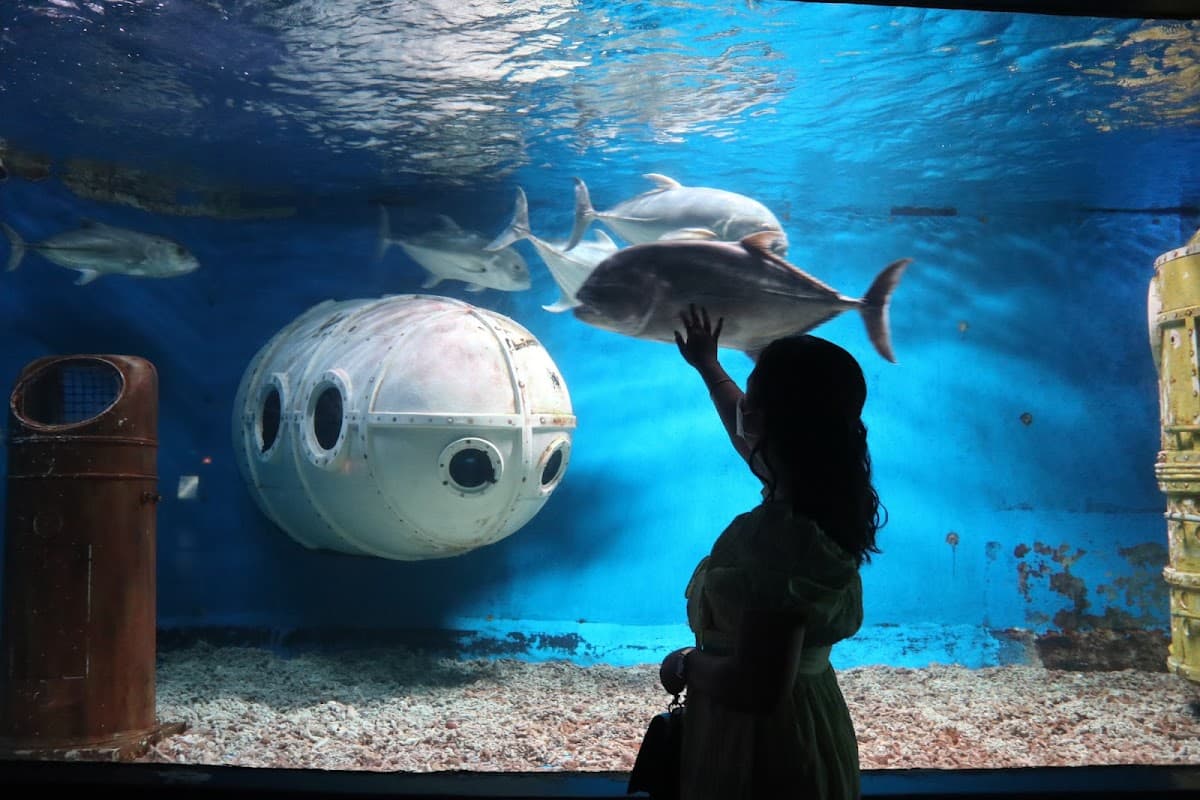 Manila Ocean Park thumbnail 3