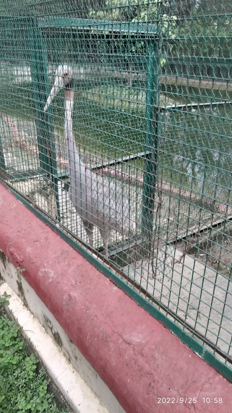 Sarnath Deer Park thumbnail 3