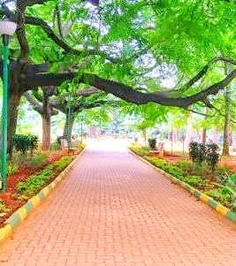 M.N. Krishna Rao Park thumbnail 2