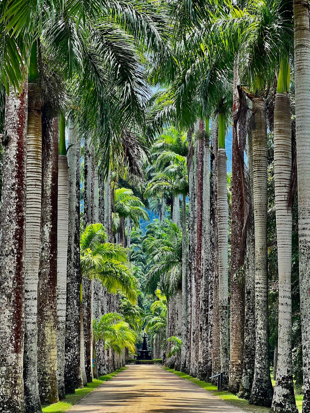 Botanical Garden of Rio de Janeiro