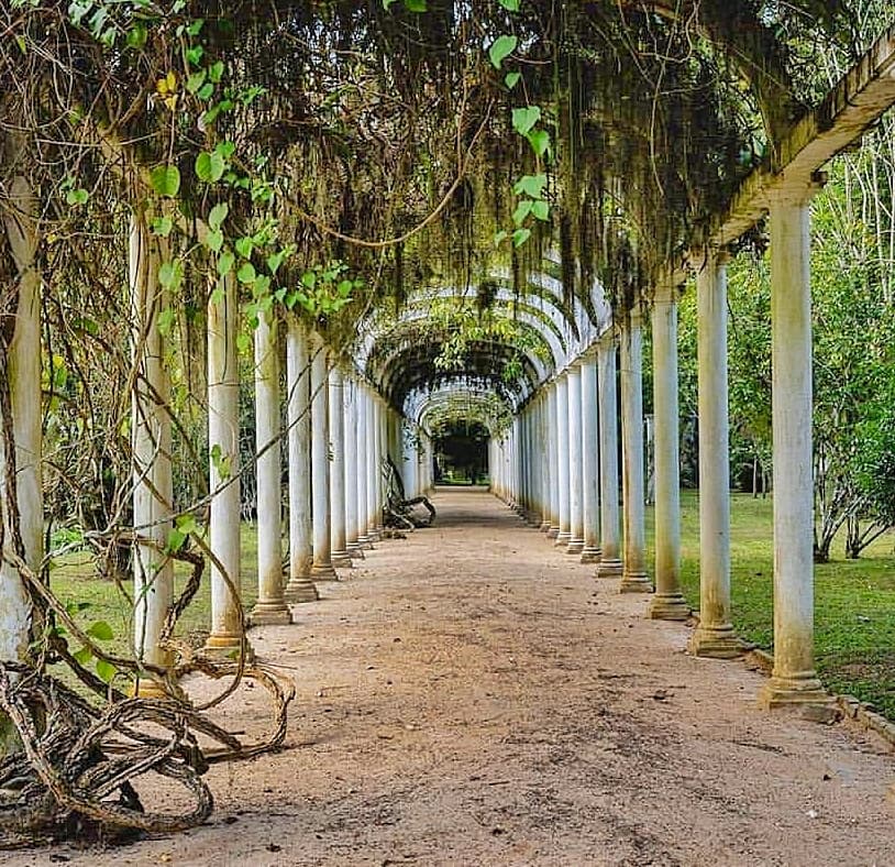 Botanical Garden of Rio de Janeiro thumbnail 2