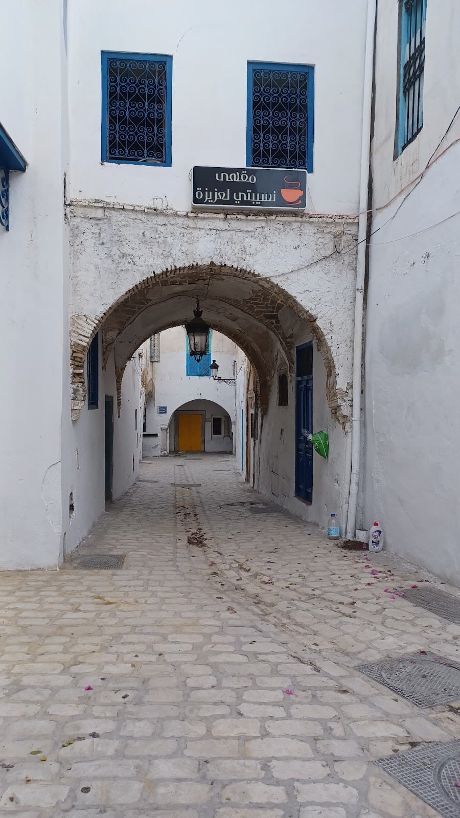نسيبتي العزيزة