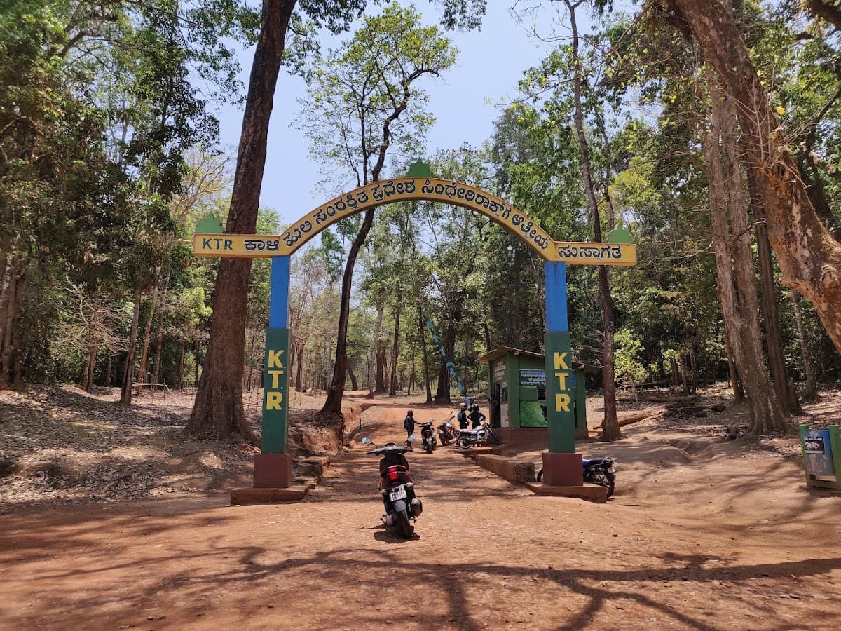 Anshi National Park thumbnail 2