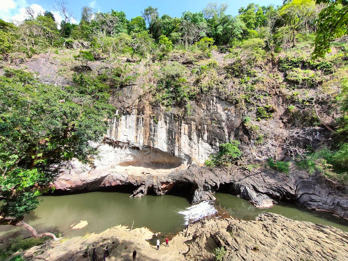Anshi National Park thumbnail 3