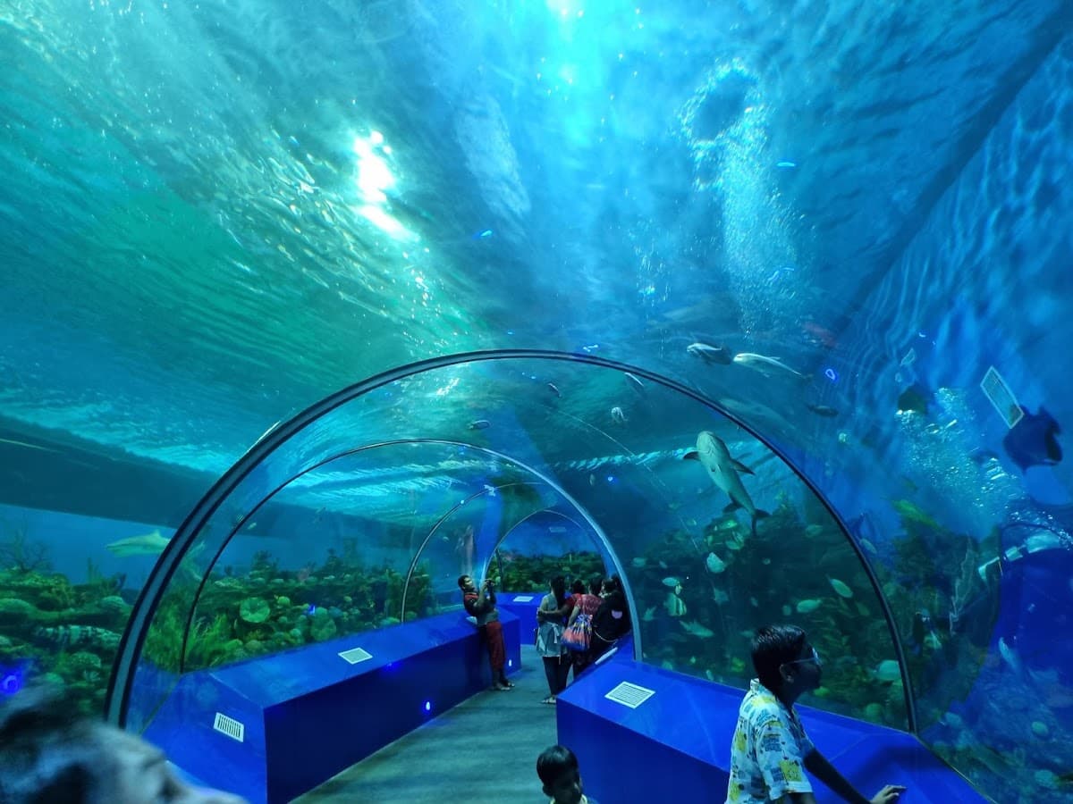 Aquatic Gallery - Science City